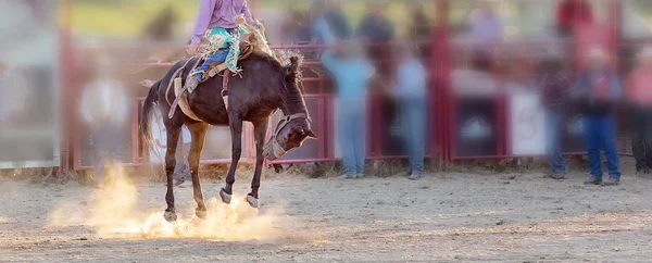 Bucking Cabalgata Rodeo Competencia —  Fotos de Stock