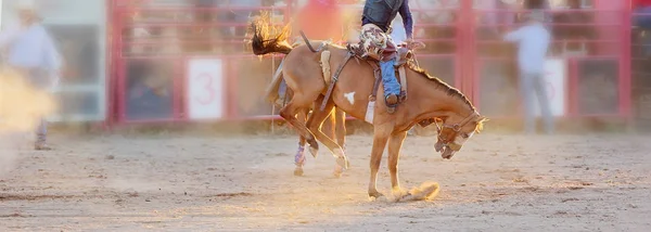 Bucking paardrijden Rodeo competitie — Stockfoto