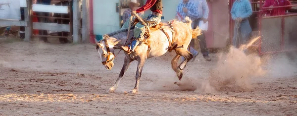 Bucking jazda konna Rodeo konkurs — Zdjęcie stockowe