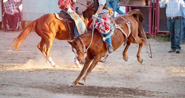 Bucking jazda konna Rodeo konkurs — Zdjęcie stockowe