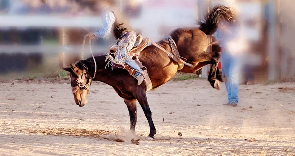 Bucking jazda konna Rodeo konkurs — Zdjęcie stockowe