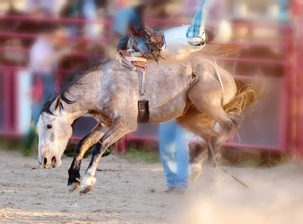 Bucking Equitation Rodéo Compétition — Photo