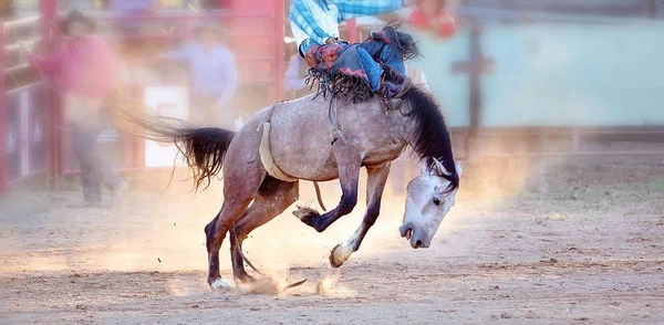 Διαγωνισμός ιππασίας — Φωτογραφία Αρχείου