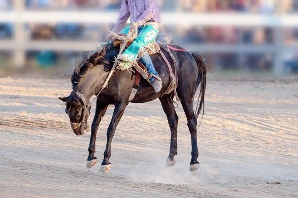 Bucking jazda konna Rodeo konkurs — Zdjęcie stockowe