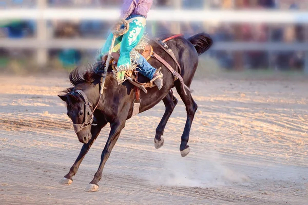 Bucking Cabalgata Rodeo Competencia —  Fotos de Stock