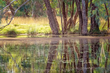 Bir Nehir Üzerinde Renkli Durgun Su Yansımaları
