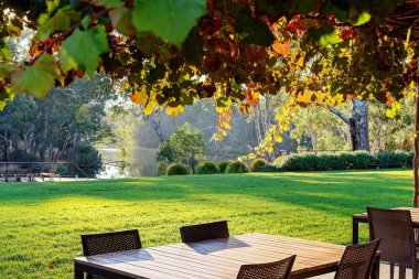 Üzüm Bağları Altında Bir Şaraphane De Açık Yemek
