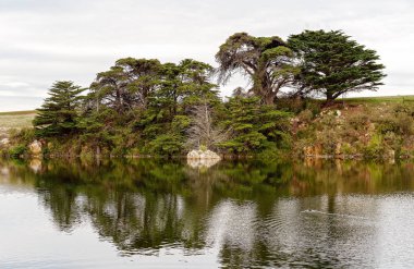 Hopkins Nehri Avustralya Üzerinde Su Yansımaları