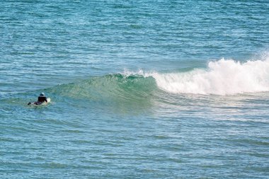 Logan's Beach Whale Kreş at Surfer