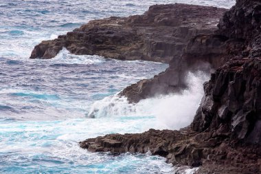 Kıyı Şeridi Avustralya On Blowholes Of Frothing Ekoloji