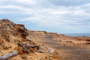 Victoria Avustralya Sahilinde Taşlaşmış Orman