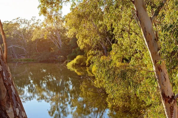 Kleurrijke rivier water reflecties — Stockfoto