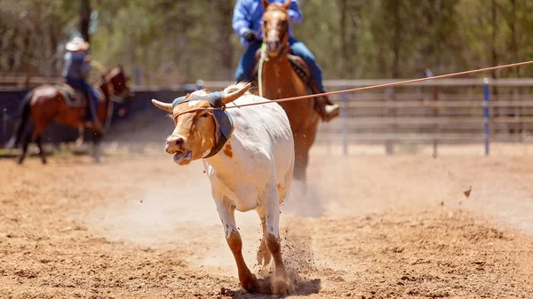 Team Calf Roping At Country Rodeo — Stock Photo, Image
