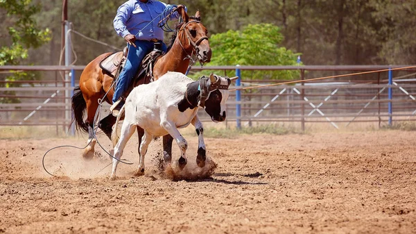 Team kalv Roping på land Rodeo — Stockfoto