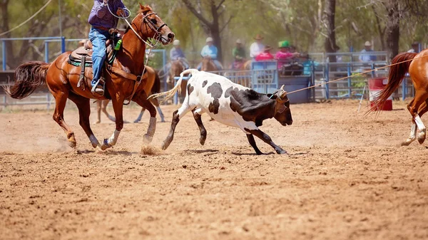 Equipo Calf Roping At Country Rodeo — Foto de Stock