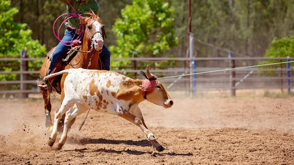 Team Calf Roping At Country Rodeo — Stock Photo, Image