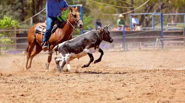 Team Calf Roping At Country Rodeo — Stock Photo, Image