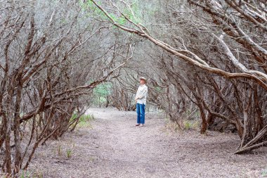 Ormanın içinde yürüyen adam