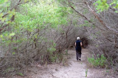 Bir orman yoluyla yürüyen kadın