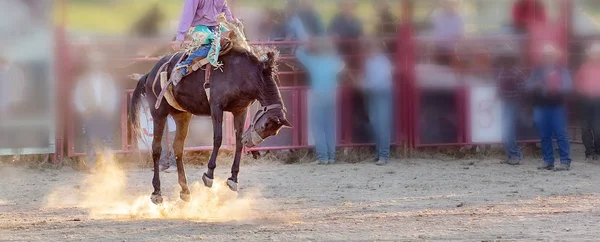 Bucking Binicilik Rodeo Yarışması — Stok fotoğraf