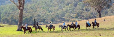Snowy River Bush Festivali 2019'dan Man'de Biniciler Yeniden Canlandırma İçin Geliyor