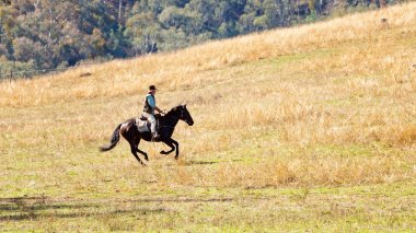 Kovboy Riders At Karlı Nehir Re-Actment Itibaren Man