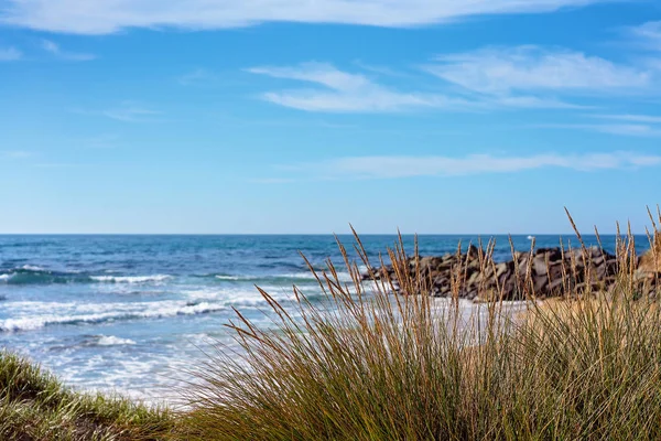 Tall Grass In Front Of A Sandy Beach — Stock Photo, Image