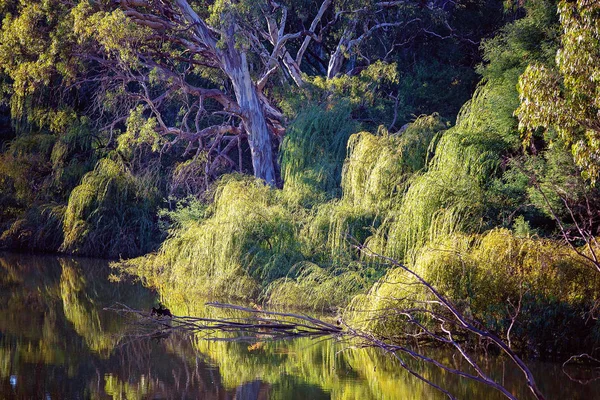 Prachtige rivier landschap bij Dawn — Stockfoto