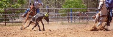 Buzağı Roping Bir Avustralya Rodeo at
