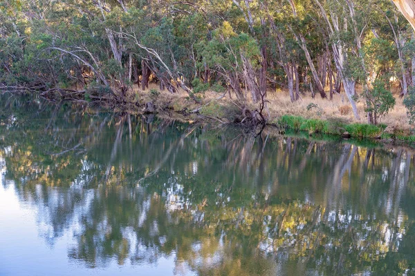 एका नदीवर पाणी प्रतिबिंब — स्टॉक फोटो, इमेज