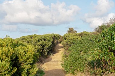 Büyük Okyanus Yolu üzerinde bir turist yürüyüş pisti