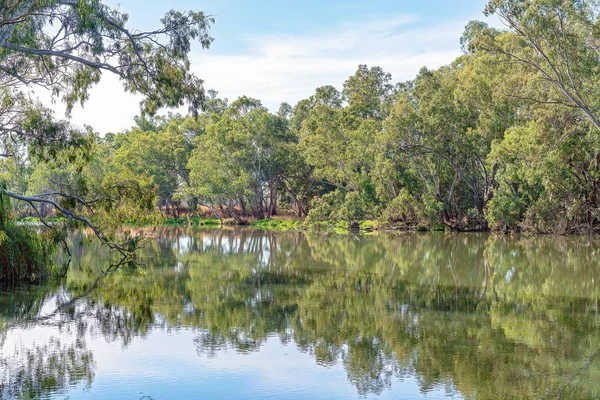 Rivier water boom reflecties — Stockfoto