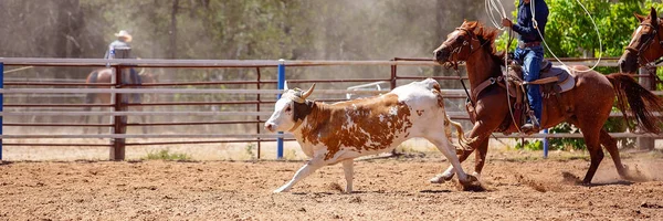 Kalf roping bij een rodeo — Stockfoto