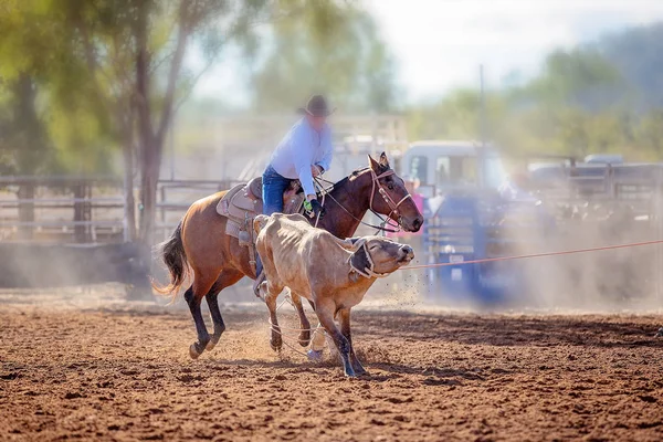 Veau Roping à un rodéo — Photo