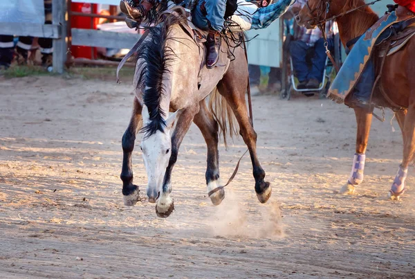 Bareback Bucking Bronc Riding At Country Rodeo — Stock Photo, Image