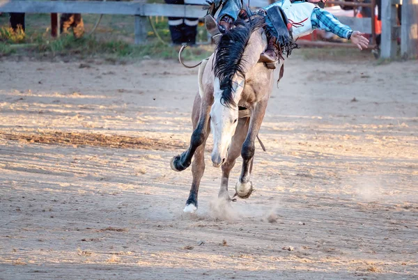 Sem camisinha Bucking Bronc equitação no país rodeio — Fotografia de Stock