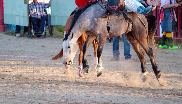 Bareback bucking Bronc rijden op land Rodeo — Stockfoto