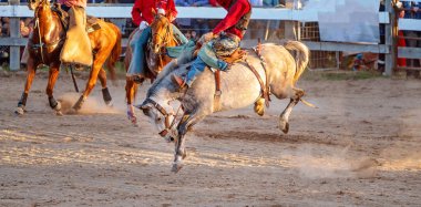Cowboy Rides Bucking Horse clipart