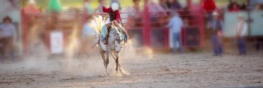 Kovboy Rides Rodeo Olay A Bucking Horse