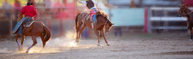 Kovboy Rides Rodeo Olay A Bucking Horse