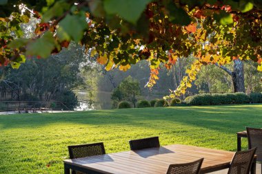 Çarpıcı bir bahçede açık havada yemek
