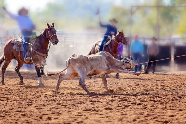 Team Calf Roping en Un Rodeo de Campo Australiano —  Fotos de Stock