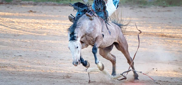 Cowboy túrák bakugrás ló — Stock Fotó