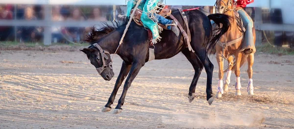 Cowboy Rides Bucking Horse — Stock Photo, Image