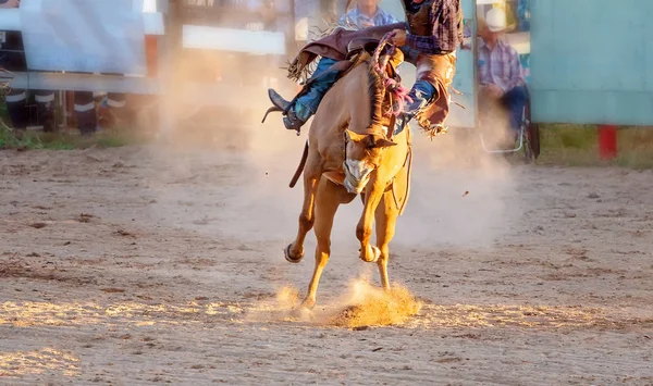 Cowboy paseos Bucking caballo — Foto de Stock