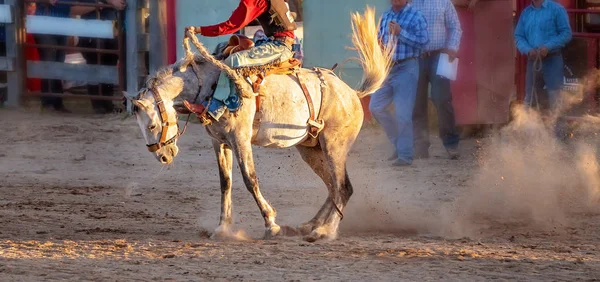 Cowboy Rides bucking koń — Zdjęcie stockowe