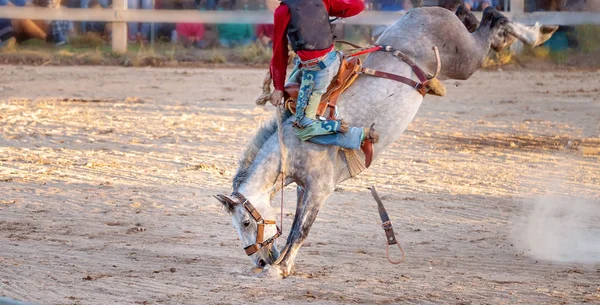 Cowboy cavalca controcorrente cavallo — Foto Stock