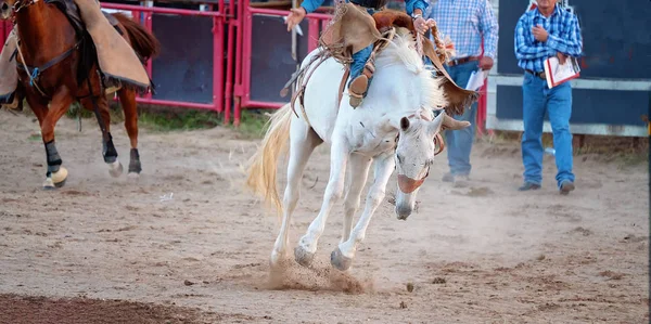 Cowboy túrák bakugrás ló — Stock Fotó