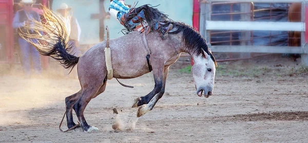 Cowboy Rides A bucking Horse w wydarzeniu Rodeo — Zdjęcie stockowe