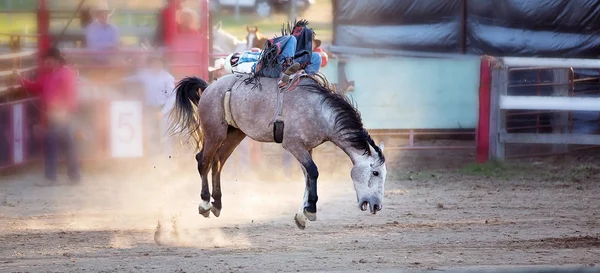 Cowboy berijdt een bucking Horse in Rodeo-evenement — Stockfoto
